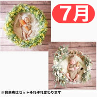 返送料別途負担【7月予定日の方事前予約枠】ミモザリース ＆2wayスワッグ〈NB〉