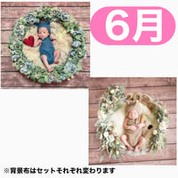 返送料別途負担【6月予定日の方事前予約枠】ブルーグレーリース ＆2wayスワッグ〈NB〉