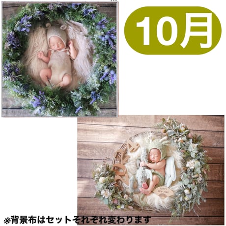 ニューボーンフォト・記念日フォト撮影グッズレンタル／Birth Wreath