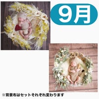 返送料別途負担【9月予定日の方事前予約枠】ホワイトミモザスワッグ＆2wayスワッグ〈NB〉