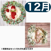 返送料別途負担【12月予定日の方事前予約枠】いちご衣装のいちごベリーリース＆2wayスワッグ〈NB〉