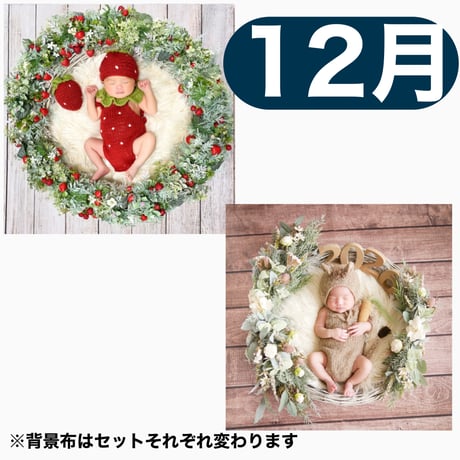 返送料別途負担【12月予定日の方事前予約枠】いちご衣装のいちごベリーリース＆2wayスワッグ〈NB〉