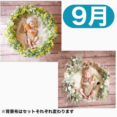 返送料別途負担【9月予定日の方事前予約枠】ミモザリース ＆2wayスワッグ〈NB〉