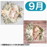 返送料別途負担【9月予定日の方事前予約枠】ブルーホワイトスワッグ＆2wayスワッグ〈NB〉