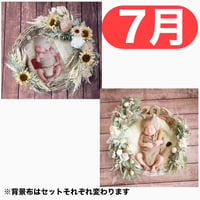 返送料別途負担【7月予定日の方事前予約枠】シャビーサンフラワー＆2wayスワッグ〈NB〉