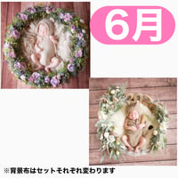 返送料別途負担【6月予定日の方事前予約枠】くすみパープルのリース＆2wayスワッグ〈NB〉
