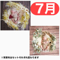 返送料別途負担【7月予定日の方事前予約枠】ホワイトミモザスワッグ＆2wayスワッグ〈NB〉