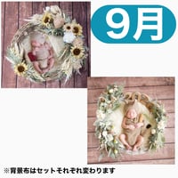 返送料別途負担【9月予定日の方事前予約枠】シャビーサンフラワー＆2wayスワッグ〈NB〉
