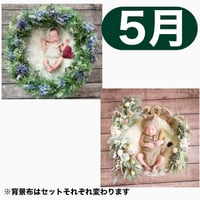 返送料別途負担【5月予定日の方事前予約枠】着せ替えラベンダーリース＆2wayスワッグ〈NB〉
