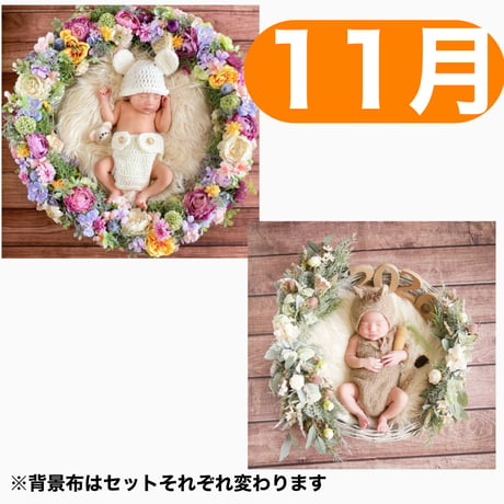 返送料別途負担【11月予定日の方事前予約枠】ラプンツェル風リース＆2wayスワッグ〈NB〉