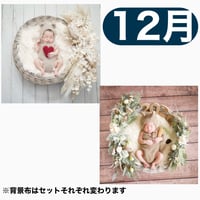 返送料別途負担【12月予定日の方事前予約枠】ペールホワイトスワッグ＆2wayスワッグ〈NB〉
