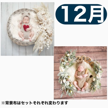 返送料別途負担【12月予定日の方事前予約枠】ペールホワイトスワッグ＆2wayスワッグ〈NB〉