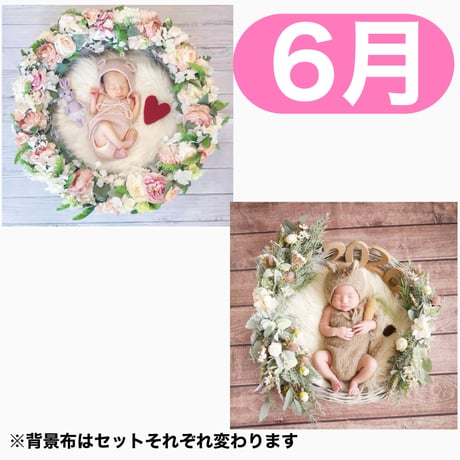 返送料別途負担【6月予定日の方事前予約枠】ゆめかわリース＆2wayスワッグ〈NB〉