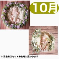 返送料別途負担【10月予定日の方事前予約枠】くすみパープルのリース＆2wayスワッグ〈NB〉