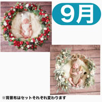 返送料別途負担【9月予定日の方事前予約枠】白雪姫風リース＆2wayスワッグ〈NB〉
