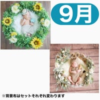 返送料別途負担【9月予定日の方事前予約枠】着せ替えひまわりリース＆2wayスワッグ〈NB〉