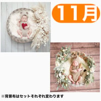 返送料別途負担【11月予定日の方事前予約枠】ペールホワイトスワッグ＆2wayスワッグ〈NB〉