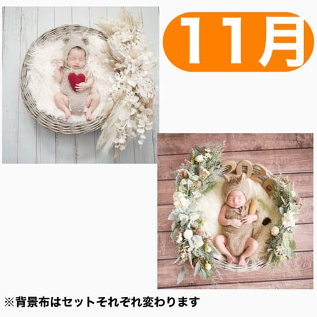 返送料別途負担【11月予定日の方事前予約枠】ペールホワイトスワッグ＆2wayスワッグ〈NB〉