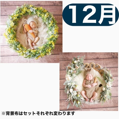 返送料別途負担【12月予定日の方事前予約枠】ミモザリース ＆2wayスワッグ〈NB〉