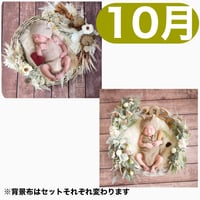 返送料別途負担【10月予定日の方事前予約枠】ココアグラス＆2wayスワッグ〈NB〉