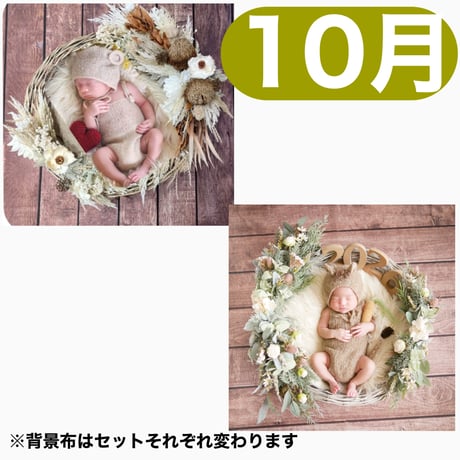 返送料別途負担【10月予定日の方事前予約枠】ココアグラス＆2wayスワッグ〈NB〉