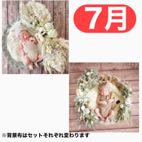 返送料別途負担【7月予定日の方事前予約枠】ホワイトドライスワッグ＆2wayスワッグ〈NB〉