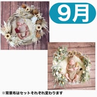 返送料別途負担【9月予定日の方事前予約枠】ドライサンフラワー＆2wayスワッグ〈NB〉
