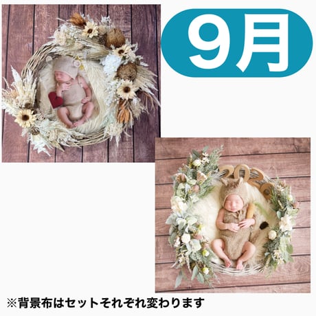 返送料別途負担【9月予定日の方事前予約枠】ドライサンフラワー＆2wayスワッグ〈NB〉