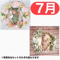 返送料別途負担【7月予定日の方事前予約枠】ユニコーンのパステルフラワーリース ＆2wayスワッグ〈NB〉