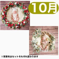 返送料別途負担【10月予定日の方事前予約枠】白雪姫風リース＆2wayスワッグ〈NB〉