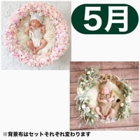 返送料別途負担【5月予定日の方事前予約枠】桜いっぱいリース ＆2wayスワッグ〈NB〉