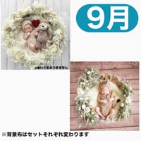 返送料別途負担【9月予定日の方事前予約】パンパスホワイトリース ＆2wayスワッグ〈NB〉