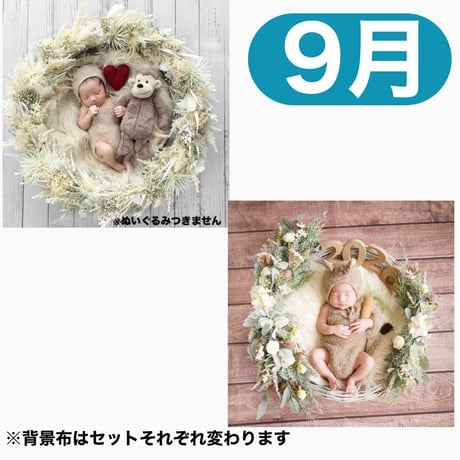 返送料別途負担【9月予定日の方事前予約】パンパスホワイトリース ＆2wayスワッグ〈NB〉