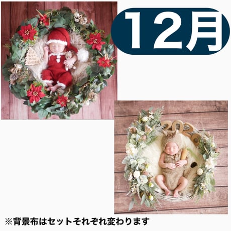 返送料別途負担【12月予定日の方事前予約枠】ポインセチアリース&2wayスワッグ〈NB〉