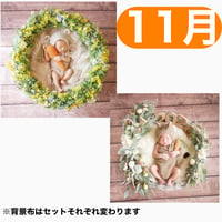 返送料別途負担【11月予定日の方事前予約枠】ミモザリース ＆2wayスワッグ〈NB〉