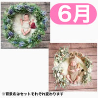 返送料別途負担【6月予定日の方事前予約枠】着せ替えラベンダーリース＆2wayスワッグ〈NB〉