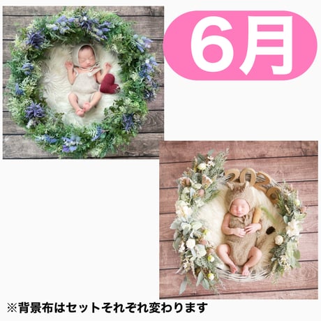 返送料別途負担【6月予定日の方事前予約枠】着せ替えラベンダーリース＆2wayスワッグ〈NB〉