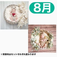 返送料別途負担【8月予定日の方事前予約枠】ペールホワイトスワッグ＆2wayスワッグ〈NB〉