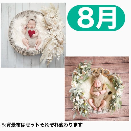 返送料別途負担【8月予定日の方事前予約枠】ペールホワイトスワッグ＆2wayスワッグ〈NB〉