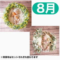 返送料別途負担【8月予定日の方事前予約枠】ミモザリース ＆2wayスワッグ〈NB〉