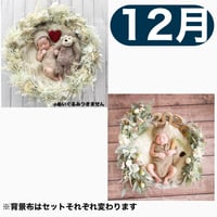返送料別途負担【12月予定日の方事前予約】パンパスホワイトリース ＆2wayスワッグ〈NB〉