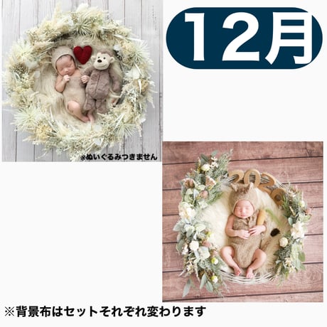 返送料別途負担【12月予定日の方事前予約】パンパスホワイトリース ＆2wayスワッグ〈NB〉