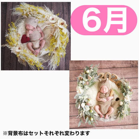 返送料別途負担【6月予定日の方事前予約枠】ホワイトミモザスワッグ＆2wayスワッグ〈NB〉