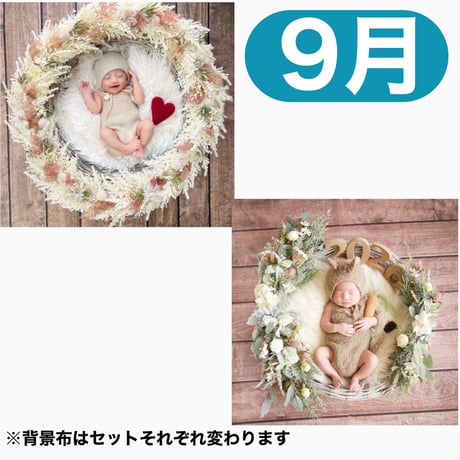 返送料別途負担【9月予定日の方事前予約】ドライピンクリース ＆2wayスワッグ〈NB〉