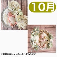 返送料別途負担【10月予定日の方事前予約枠】ホワイトドライスワッグ＆2wayスワッグ〈NB〉