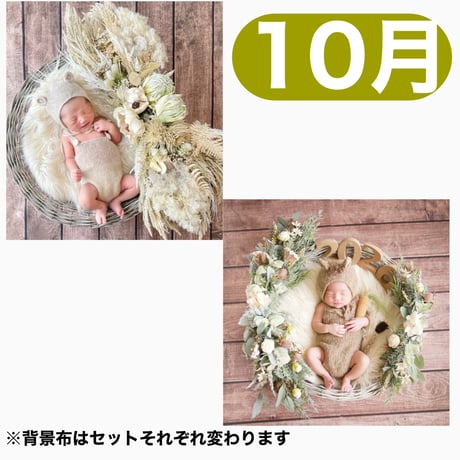 返送料別途負担【10月予定日の方事前予約枠】ホワイトドライスワッグ＆2wayスワッグ〈NB〉