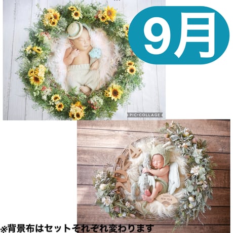 ITEM | ニューボーンフォト・記念日フォト撮影グッズレンタル／Birth Wreath