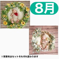 返送料別途負担　背景は茶【8月予定日の方事前予約枠】着せ替えミニひまわりリース＆2wayスワッグ〈NB〉