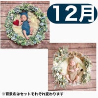返送料別途負担【12月予定日の方事前予約枠】ブルーグレーリース ＆2wayスワッグ〈NB〉