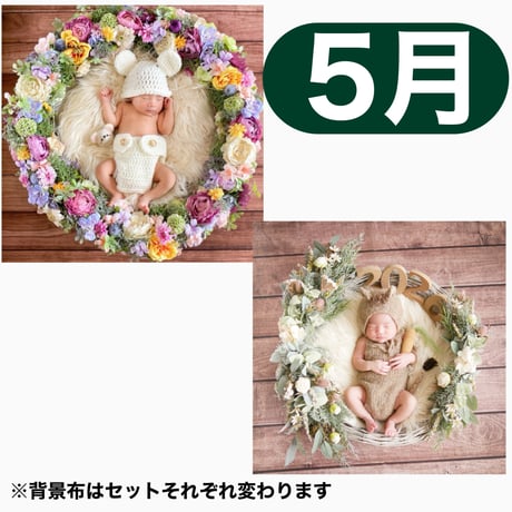 返送料別途負担【5月予定日の方事前予約枠】ラプンツェル風リース＆2wayスワッグ〈NB〉